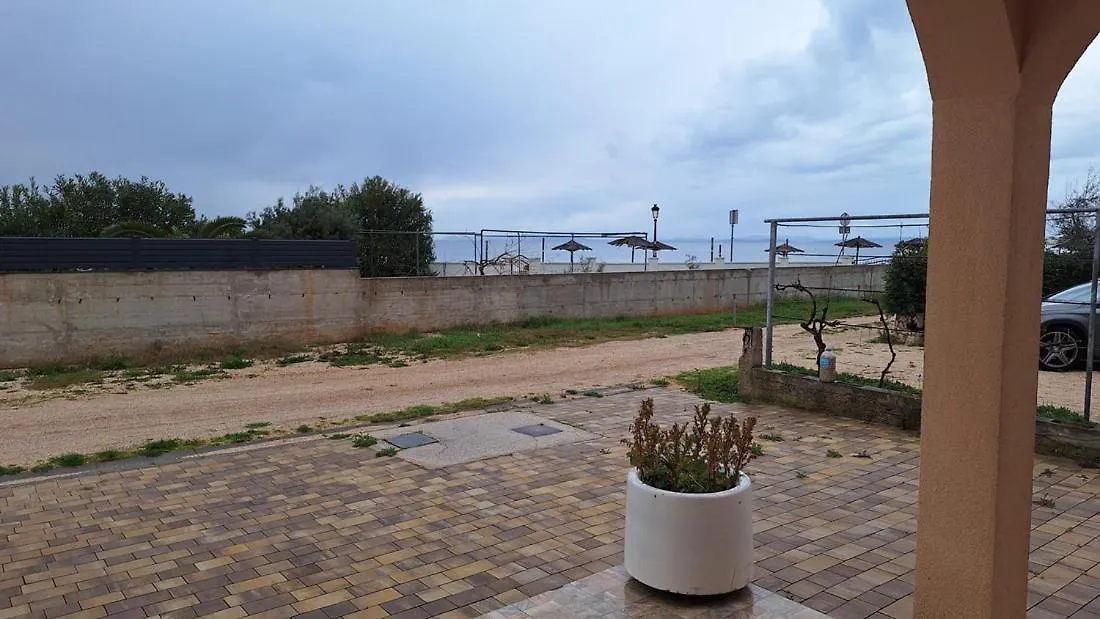 Apartment Apartmani Morska Vila Vir Croatia